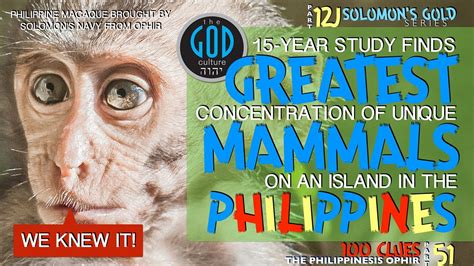 15 Year Study Philippines Greatest Concentration Of Unique Mammals