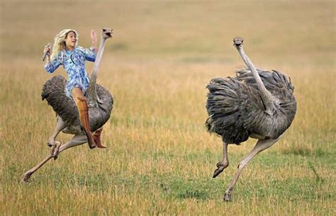 Funny meme pictures without captions or words. These new Beyonce memes are hilarious!