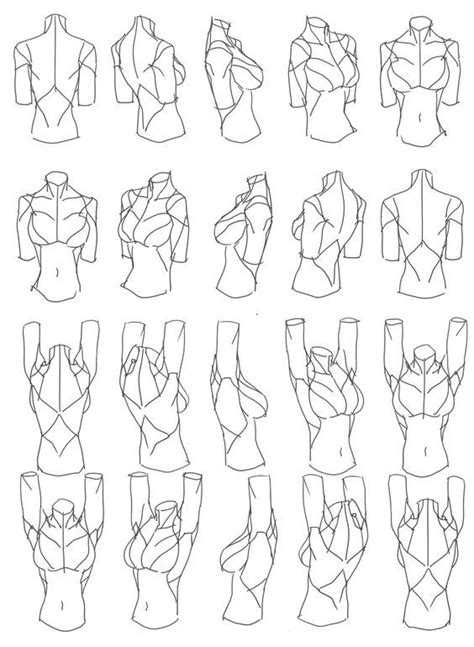 “female torso rotation” reference sheet art drawing tips by 匿名の blog website
