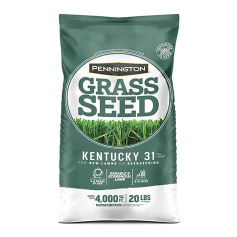 Kentucky Tall Fescue Grass Seed Pennington