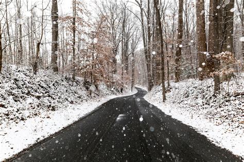 Everything About Washingtons First Snowfall Of The Winter
