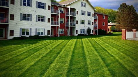 Madison Wi Lawn Care And Mowing Eco And Electric