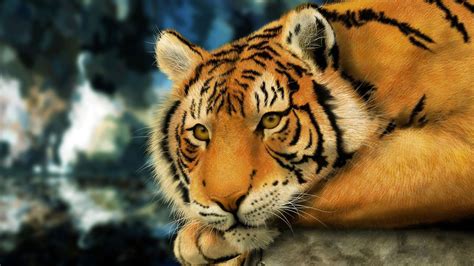 Beautiful 1080p Hd Tiger Wallpaper ~ Hd Wallpapers And Images