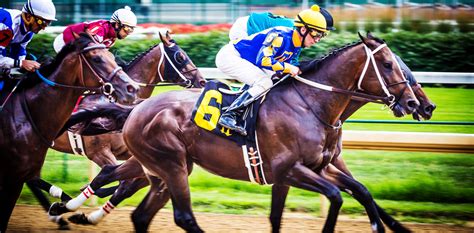 photo by tim kellogg timkelloggphotography.com Horse racing at