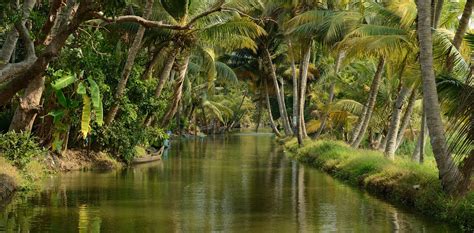 Discovering Kerala Travellocal