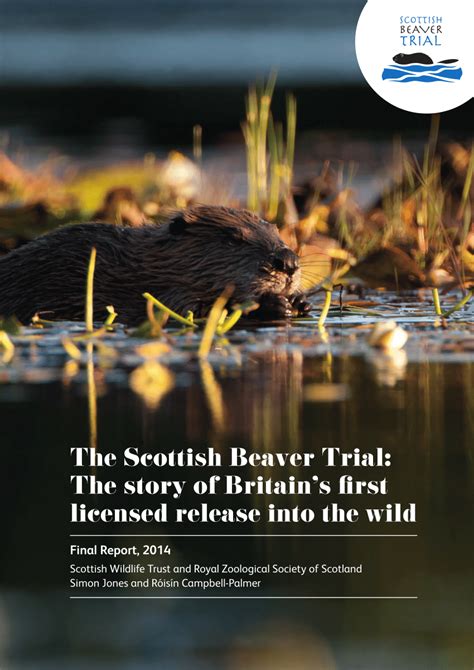 pdf the scottish beaver trial the story of britain s first licensed release into the wild