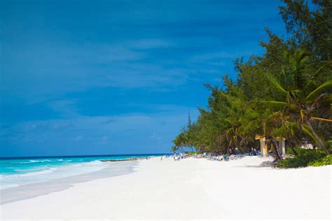 Tropical Beach In Barbados Free Stock Photo Public Domain Pictures