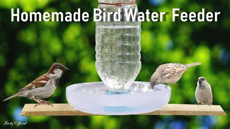 Glass bottles are heavier than plastic ones. How To Make A Bird Water Feeder | DIY Homemade Plastic ...