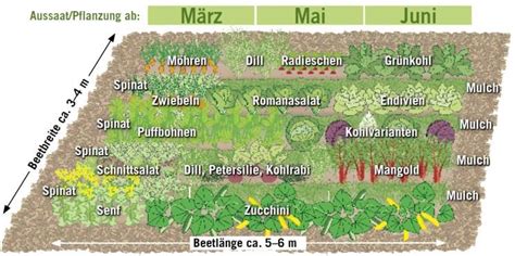 Mischkultur im Gemüsebeet | Mischkultur, Kräutergarten design