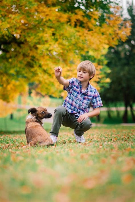 Cute Boy Playing And Walking With His Dog In A Meadow Stock Photo