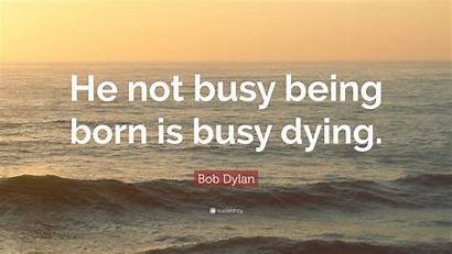 Busy Being Dylan Bob Born He Dying