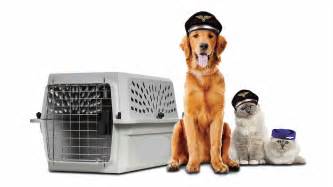 We offer trustworthy pet shipping services in bangalore. Vets 4 Pets Qatar - International pet relocation services ...