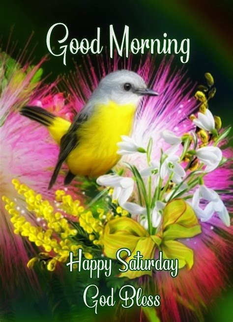Good Morning Happy Saturday Pictures Photos And Images For Facebook