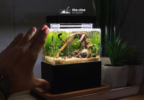 Mini Complete Tank The Viral Worlds Smallest All In One Aquarium