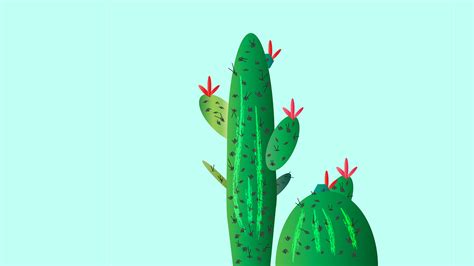 Cactus Wallpaper 52 Images