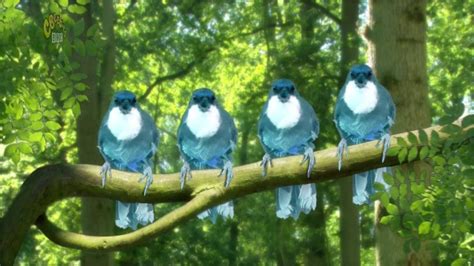 ☀ In The Night Garten Blue Birds Song ☼ ☀ Youtube