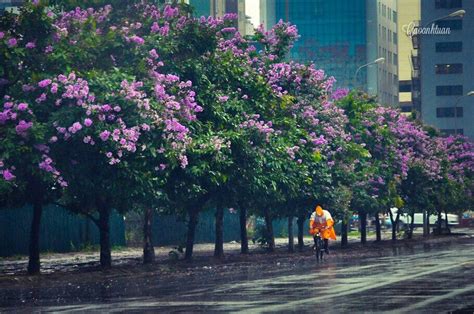 Báo tin tức vtc trong ngày việt nam hôm nay, tin tức trong nước thế giới được cập nhật 24h với các bài phóng sự video clip độc quyền trên bao vtc.vn. Dự báo thời tiết ngày 15/6/2018: Hà Nội có mưa
