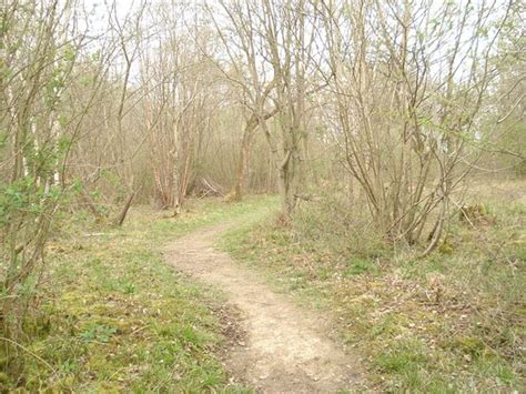 Wolves Wood Rspb Reserve Hadleigh 2020 All You Need To Know Before