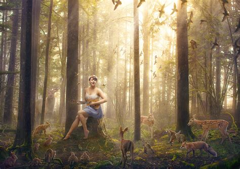 How To Create A Magical Forest Scene — Robert Cornelius