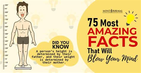 75 Most Amazing Facts That Will Blow Your Mind The Minds Journal