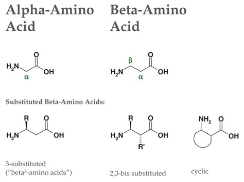 Beta2-Amino Acids: Synthesis Approaches & Compounds - ChiroBlock Chiroblock GmbH