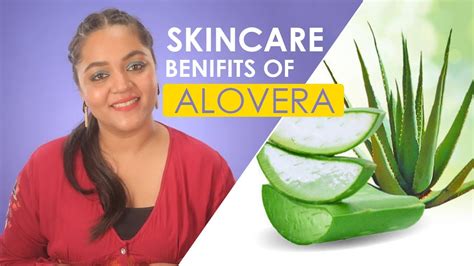 What Are The Benefits Of Aloe Vera In Skincare Tips To Use Aloe Vera