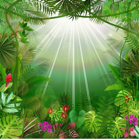 Beautiful Tropical Scenery Vectors Graphics 01 Free Download