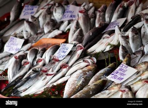 Fresh Fish For Sale At The Karaköy Fish Market In The Beyoğlu District