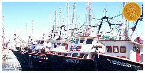 Pesca Industrial Maros Sa De Cv Company Dedicated To Fish Shrimp