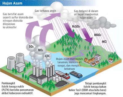 Hujan ini sendiri biasanya turun di wilayah yang mempunyai ph normal. Proses Terjadinya Hujan Asam : Dampak dan Pencegahan ...