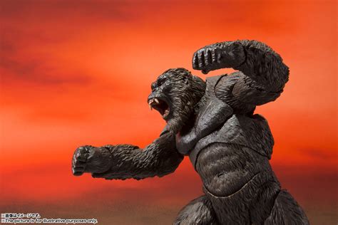 S.H.MonsterArts Kong from Movie Godzilla Vs. Kong (2021) | Hobby Frontline