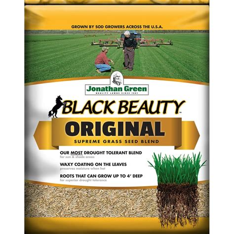 Jonathan Green 10317 15 Lb Black Beauty Original Tall Fescue Grass
