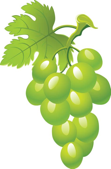 free-grapes-images,-download-free-grapes-images-png-images