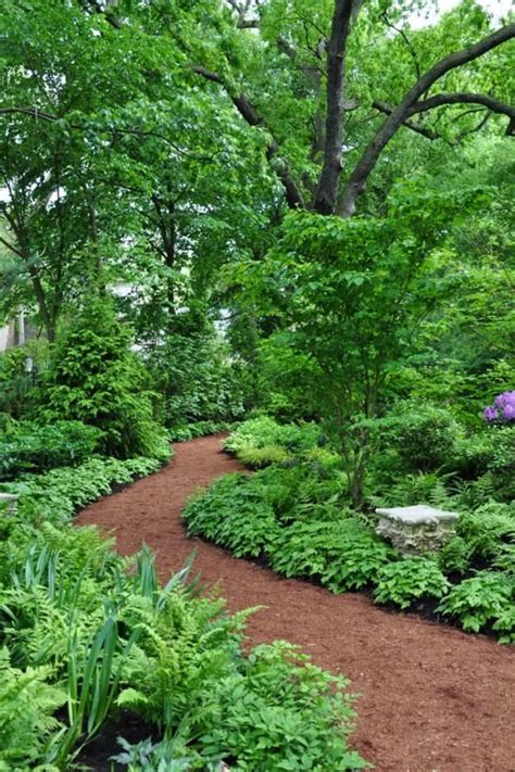 Forest Gardening With Trees And Ground Cover Environmentally Forest