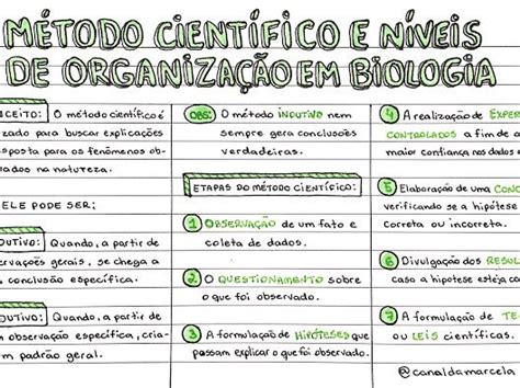 Biologia Google Drive Resumos Enem Resumo M Todos De Estudo