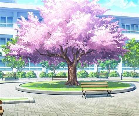 Sakura Tree Anime Scenery Anime Backgrounds Wallpapers Anime