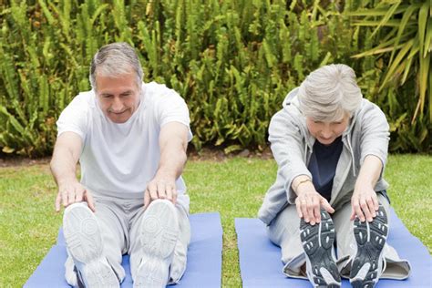 Fsu Researchers Regular Stretching Could Improve Muscles In Elderly