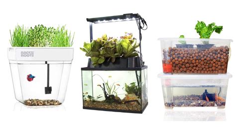 11 Best Home Aquaponics Kits Your Buyers Guide 2019