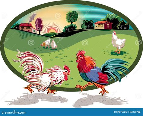 Kippen En Twee Hanen Het Vechten Stock Illustratie Illustration Of