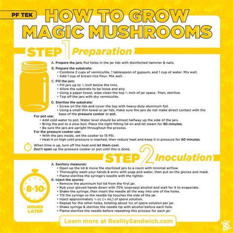How To Grow Magic Mushrooms Step By Step