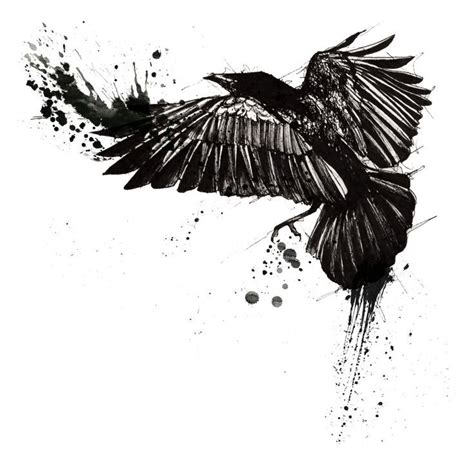 Tattoo Trends 35 Odins Raven Tattoo Designs Images