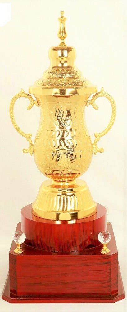 Metal Cup Trophy At Rs 5050piece Metal Award Trophy In New Delhi