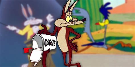 Wile E Coyote Bugs Bunny Cartoons Favorite Cartoon Character My Xxx