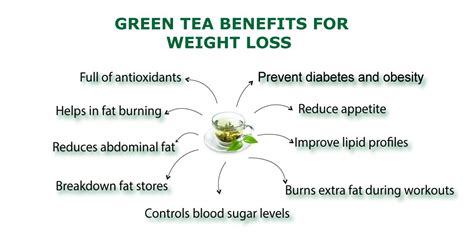 Tea tree is called camellia sinensis (l.) o. Does Green Tea Help With Weight Loss - How it Works?