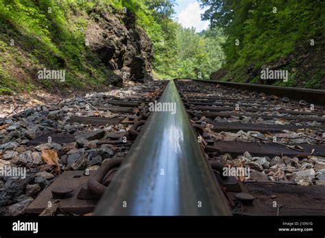 Railroad Tracks Through The Forest Stock Photo Alamy