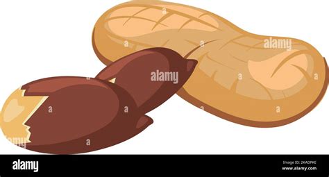 Peanut Icon Cartoon Nutshell And Peeled Nut Stock Vector Image And Art