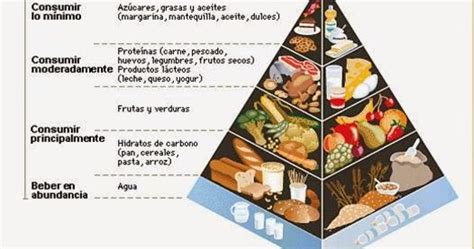 Nutrición Humana Piramide Nutricional Plato Del Buen Comer