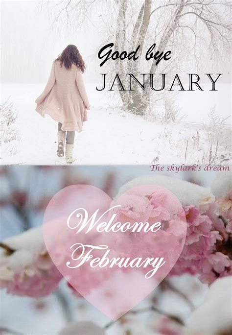 Goodbye Januarywelcome February Welcome February Hello February