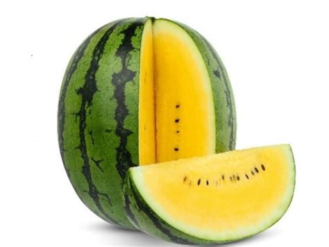 Hybrid Watermelon Seeds For Super Sweet Big Size Fruits Yellow Pack Of 10 Seeds