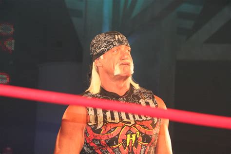 Hulk Hogan Sex Tape Facts You Need To Know